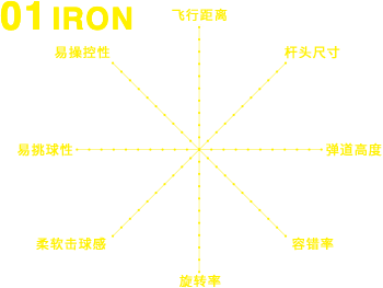 01IRON
